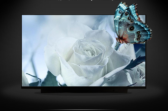 M133NVF3 R0 IVO 13,3&quot; 1920 ((RGB) × 1080, 300 (cd/m2) INDUSTRIËL LCD-Display
