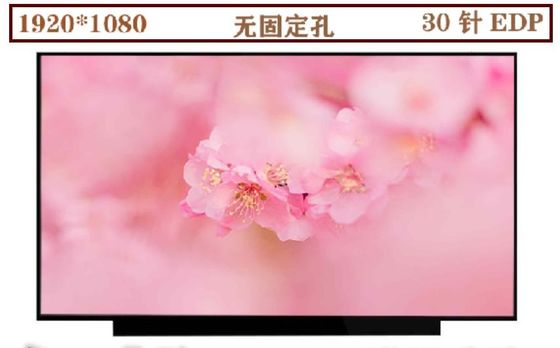N133HCE-EN1 INNOLUX 13,3“ 1920 (RGB) ×1080 330 DE INDUSTRIËLE LCD VERTONING VAN CD/M ²