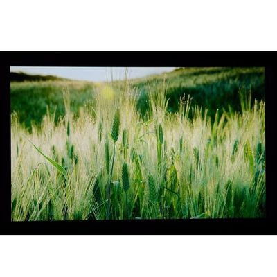 10.1“ LCM 1024×600RGB   350cd/m ²   LQ101W3LG01 scherpe TFT LCD-Vertoning