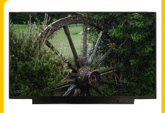 LP156WF9-SPK1 LG Display 15,6“ 1920 (RGB) ×1080 250 de INDUSTRIËLE LCD VERTONING van cd/m ²