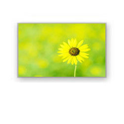 4.0“ de Industriële Lcd Vertoning HSD040I3N1-B00 HannStar van 320×240 4700cd/M2